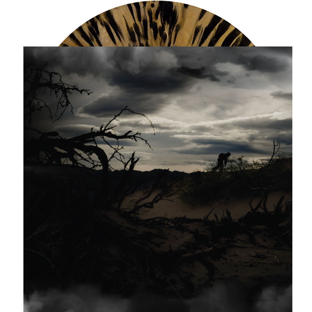 Define The Great Line Twentieth Anniversary Vinyl