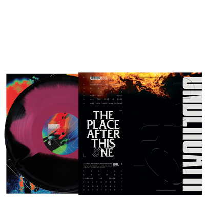 The Place After This One D2C Exclusive Black/Pink Swirl Vinyl - Vinyl